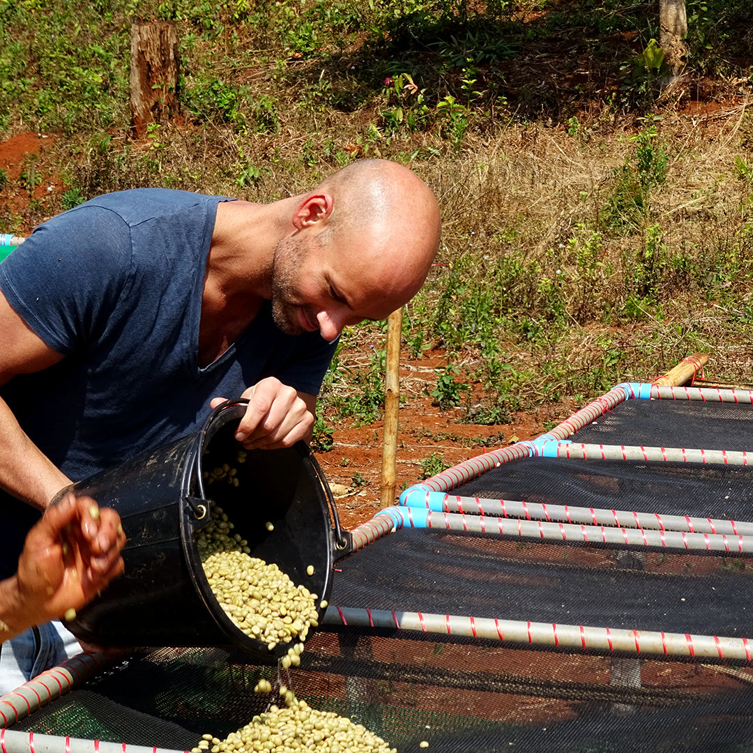 Strong · 30 % Arabica · 70 % Robusta