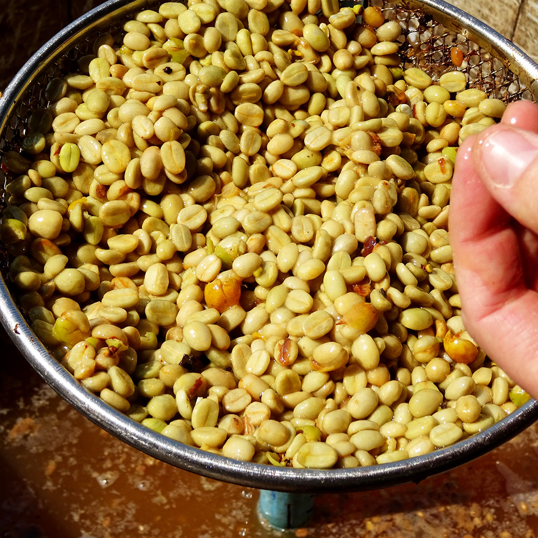 Strong · 30 % Arabica · 70 % Robusta