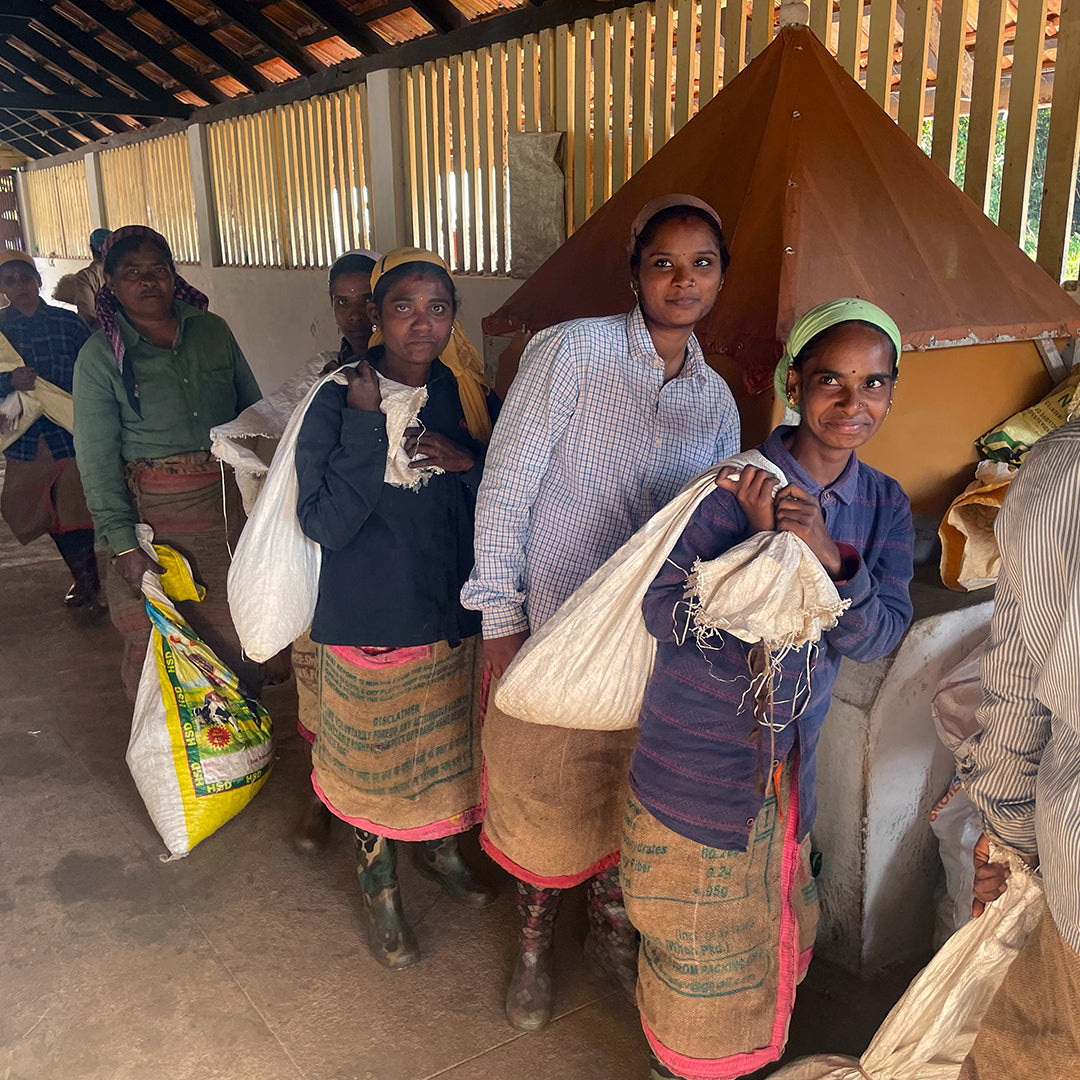 Double · 100 % Arabica